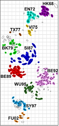 The first antigenic map of the influenza A(H3N2) virus from 1968 to 2003. Each strain is coloured to represent the antigenic cluster to which that strain belongs, while the antisera used in the HI assays are shown as uncoloured open shapes. Clusters are n